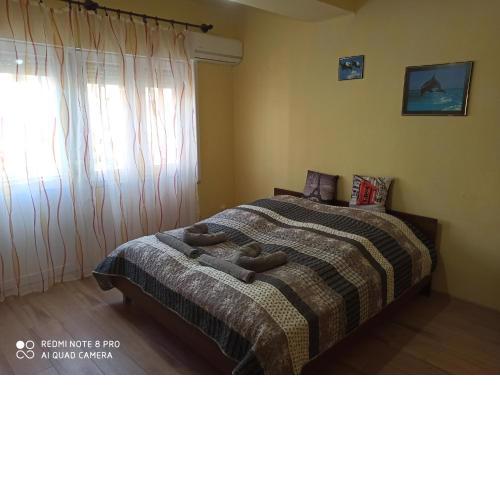 Centrum 2 apartman