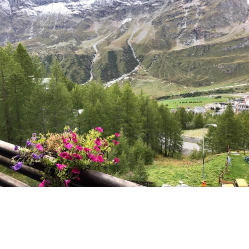 CERVINIA - Appartamento direttamente sulle piste, vista unica sul Cervino