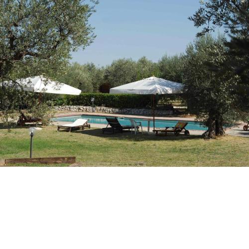 Chalet 6 Agriturismo