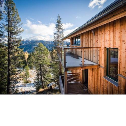 Chalet Alpenpark Turracherhöhe 3