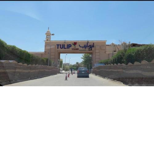 Chalet at Tulip ain el sokhna for rent