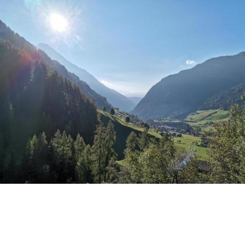 Chalet Baumhaus