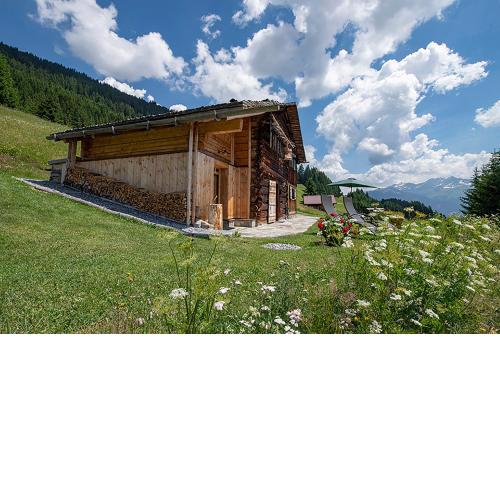 Chalet Berghaus Bartholomäberg