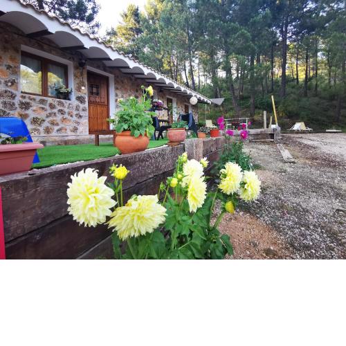 Chalet de Montaña Parque Natural Calar Río Mundo - Independiente - Wifi
