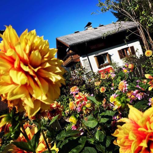 Chalet Franzi
