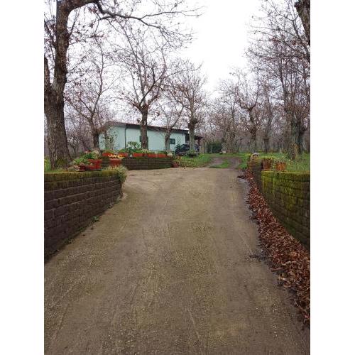 Chalet immerso nel Bosco