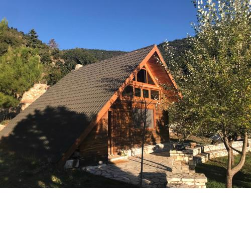 Chalet in the Forest