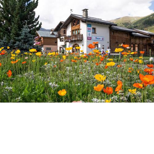 Chalet Irene Livigno