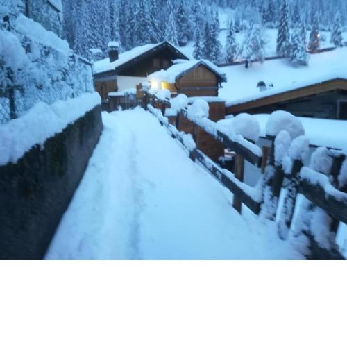 Chalet LEI vacanze nel cuore delle dolomiti
