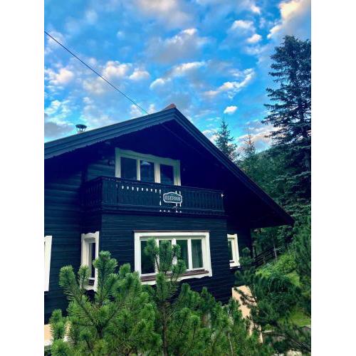 CHALET OSERIAN in Bad Gastein