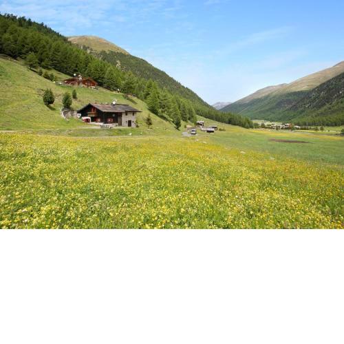 Chalet Shalom