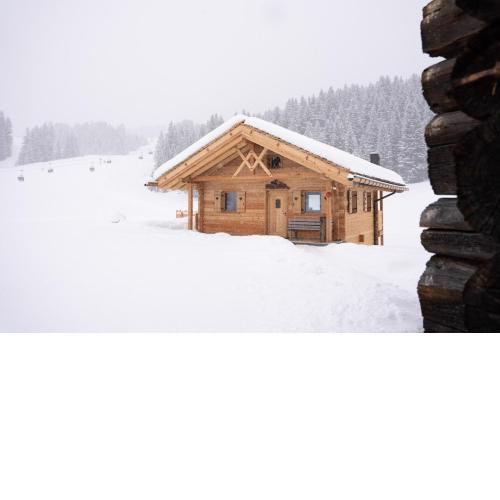 Chalet Silvesterhütte