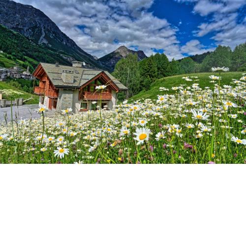Chalet Taulei