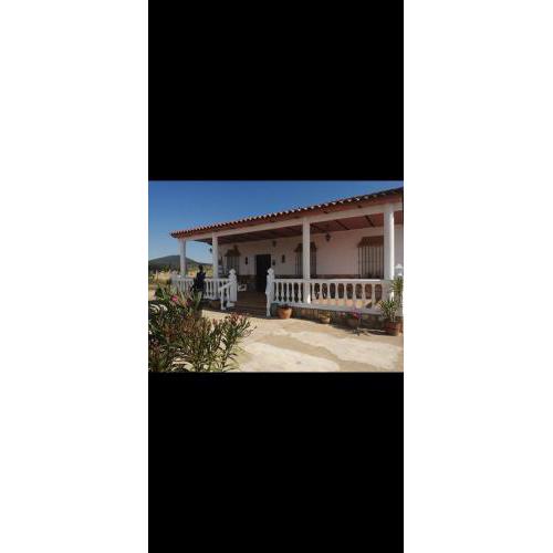 Chalets Palmeras