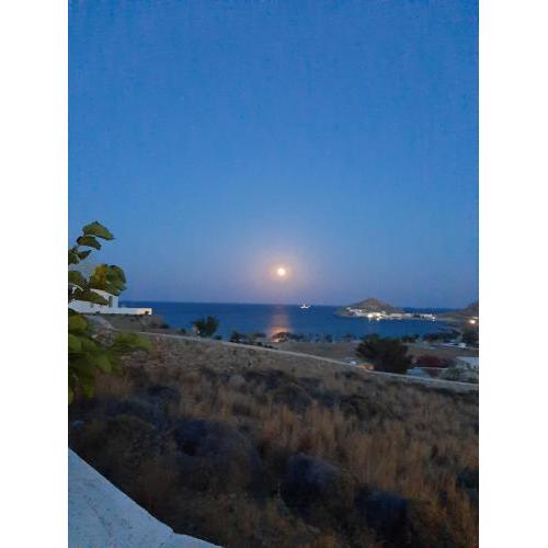 Chaniotis Studios