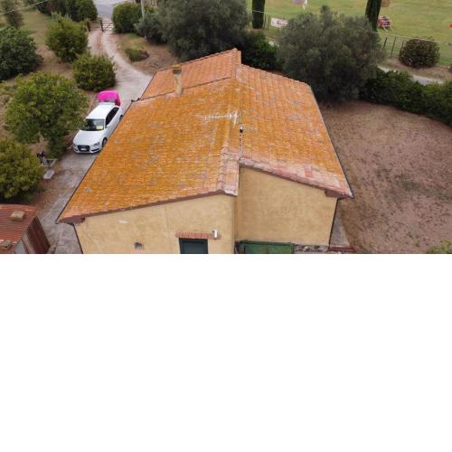 Charlotte B&B Pescia Romana Mare