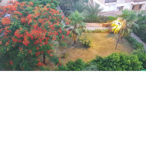 Charming Apartment in Mamurah Beach