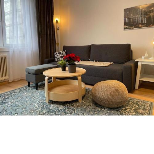 Charming Apartment near City Center