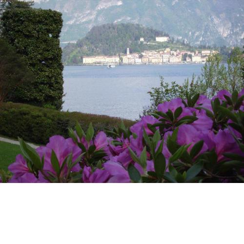 Charming Glicine and Azalea House Art and Colour with lakeview