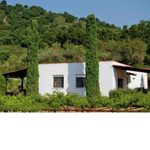 Charming Holiday Home in Palinuro with Private Swimming Pool