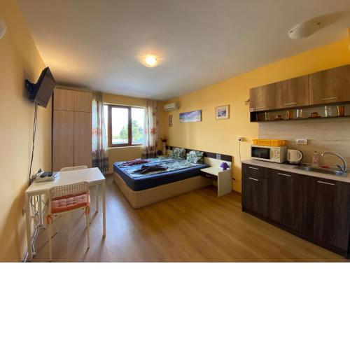 Chateau Del Mar Studio С31