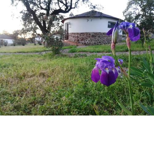 CHOZOS de la DEHESA