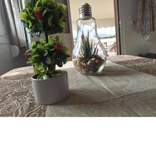 Christos Family Apartments 2