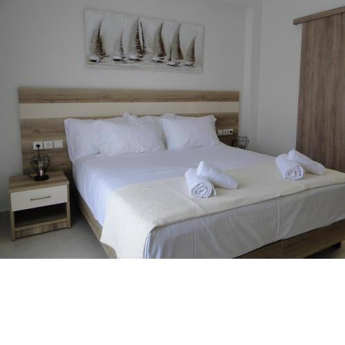 Chrysanthe's Apartments Νο3