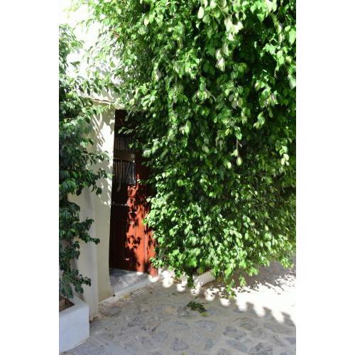 Chrysoula's Home