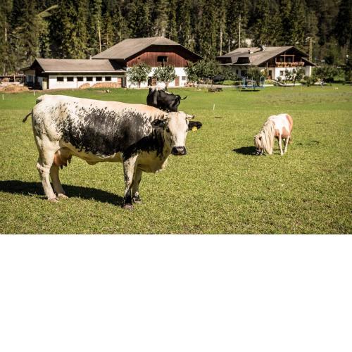 Ciasa Pradel - Agriturismo