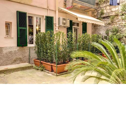 Cinque Terre Step