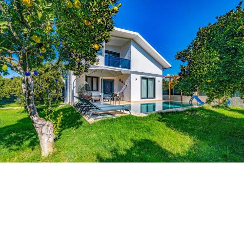 Citrus Villa 1