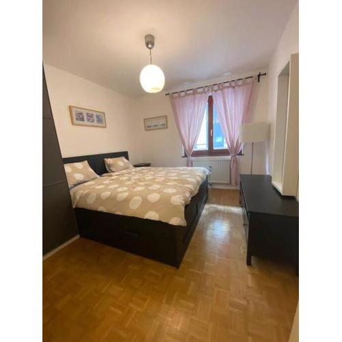 City apartment in Wien
