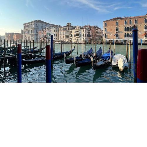 City Apartments Salute-Accademia