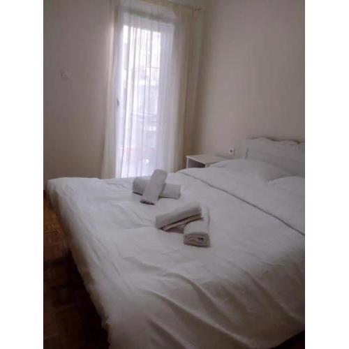 City Center Apartment