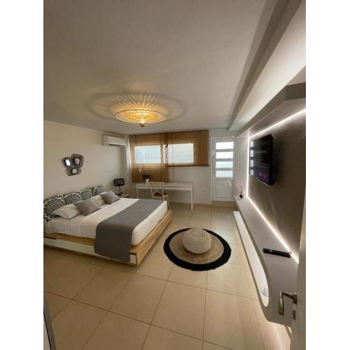 City center One Bedroom apartment