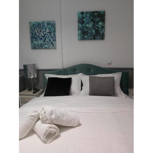 City lux apartment 2