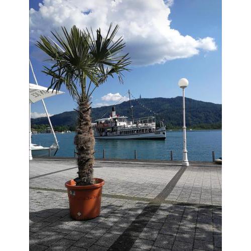 Cityapartment am See