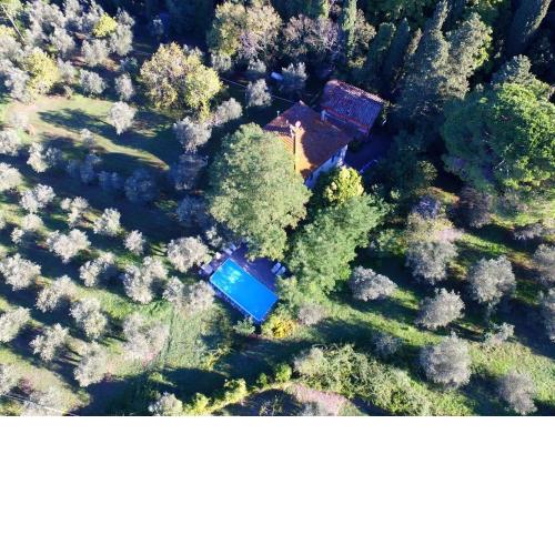 Classy Holiday Home in Ghizzano Peccioli with Swimming Pool