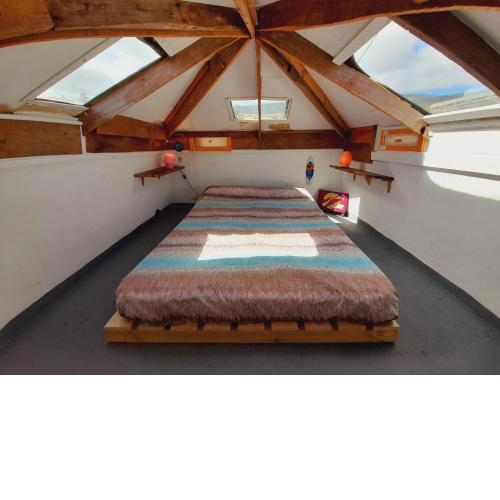 Climbing Suite with sky windows !