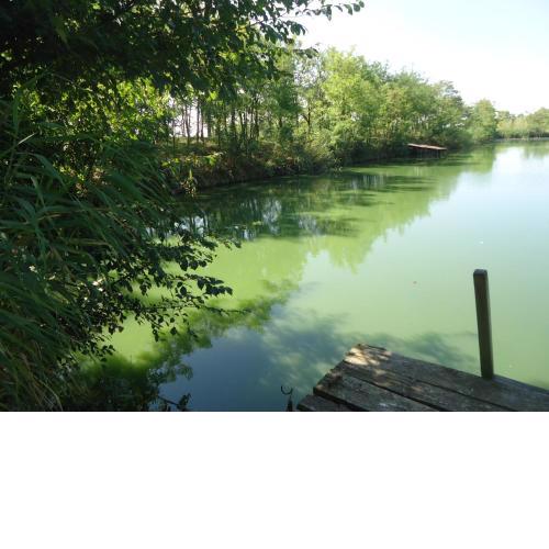 Club Haus am See
