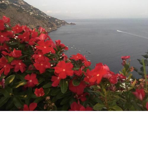 Coastal Cliff, Amalfi