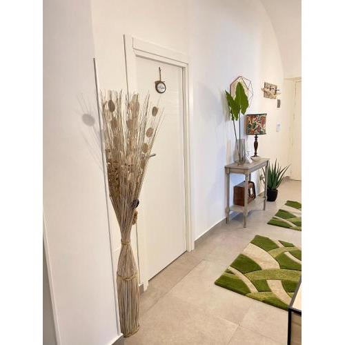 Cocciu d’Amuri Home