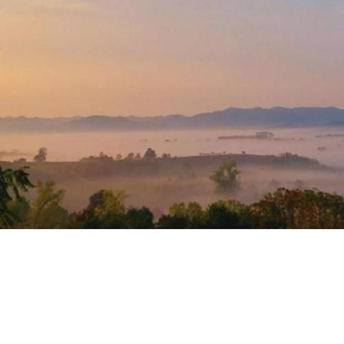 Coda di Lupo House Monferrato