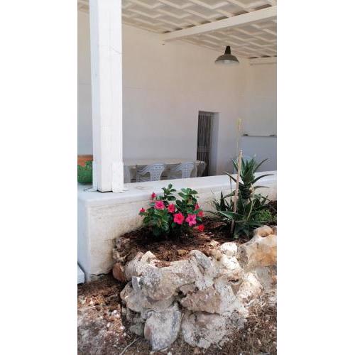 Cofano Home