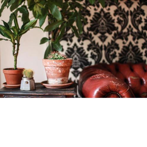 Coliving Trastevere