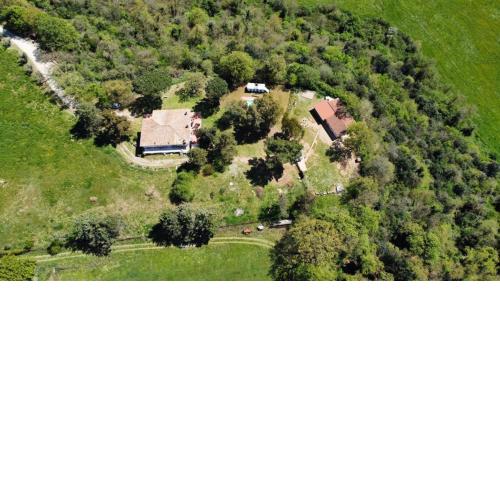 Colle Tartarugheto