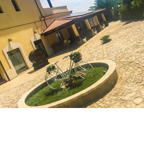 Colledisisto Srl