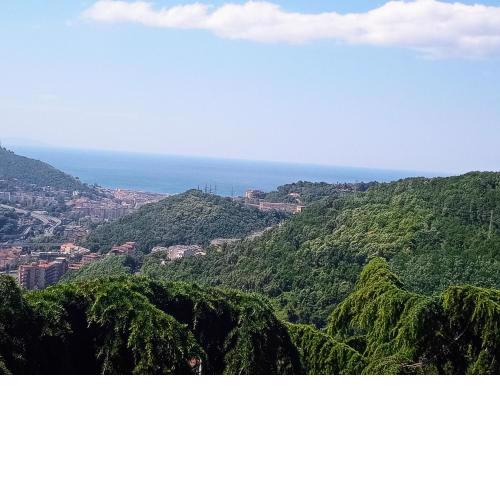 Collina Belvedere, appartamento indipendente in villa Salerno-Capezzano