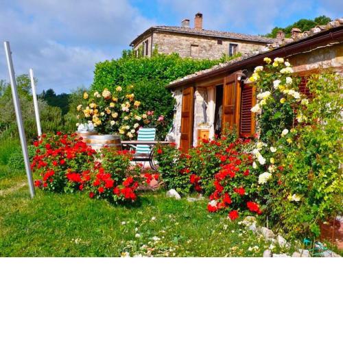 colonica nel Chianti Il Mandorlo